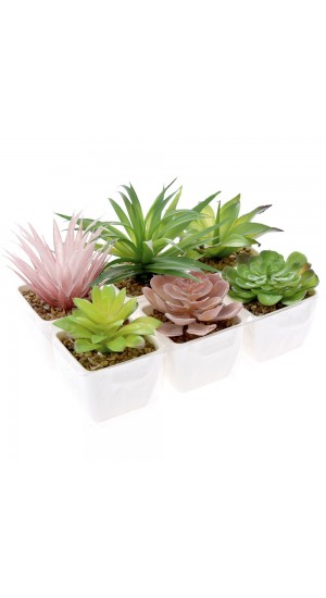  ARTIFICIAL SUCCULENT IN PLASTIC POT 6 STYLES ASSORTED IN PVC BOX