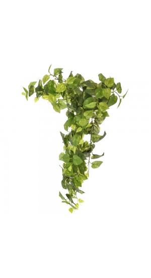  ARTIFICIAL POTHOS HANGING BUSH 80CM WITH 213 LEAVES