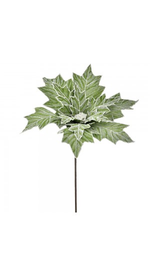  POINSETTIA GREEN FROSTED STEM 40X80CM