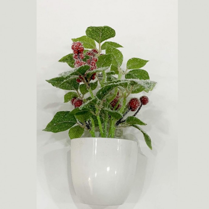  FROSTED CHRISTMAS PLANT IN POT 23CM 