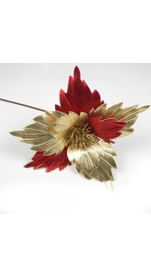  RED AND GOLD POINSETTIA 60cm